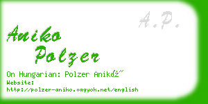 aniko polzer business card